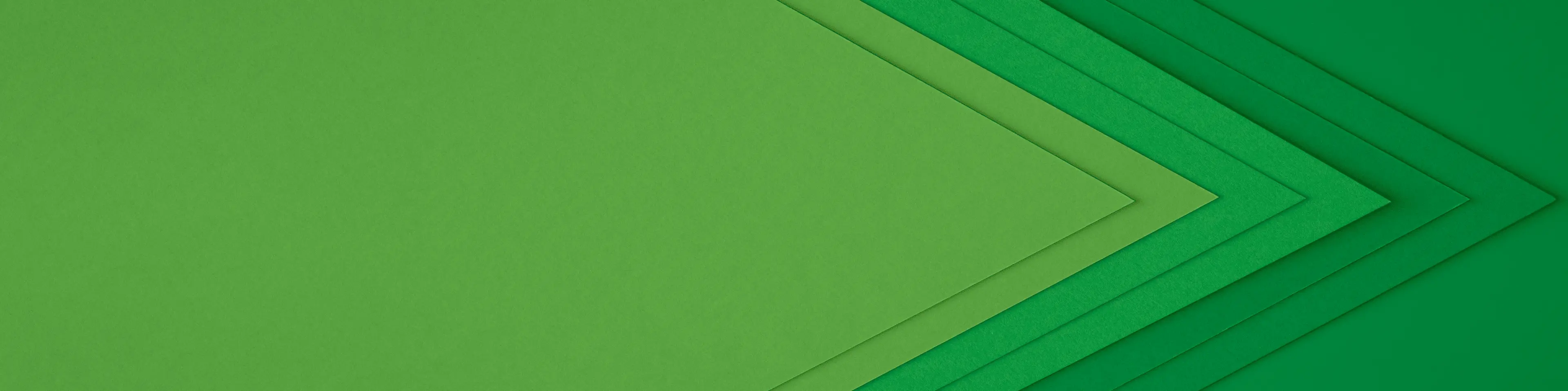 green banner